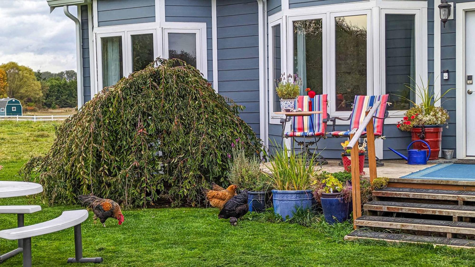 Sq Sequim Sunrise Apartment 外观 照片